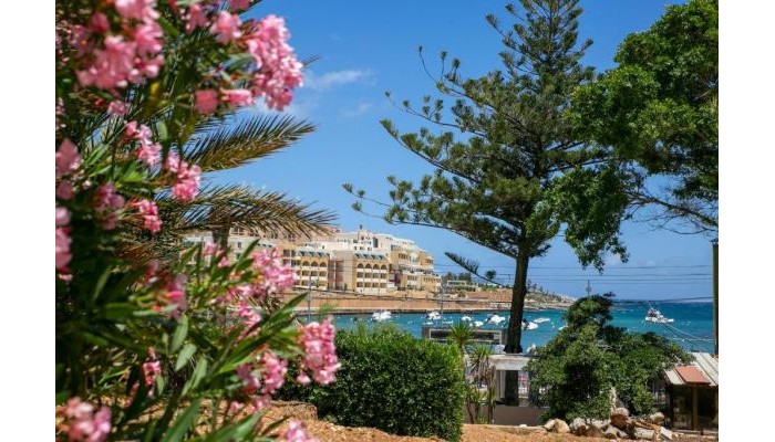 Hotel Beach Garden poza 0