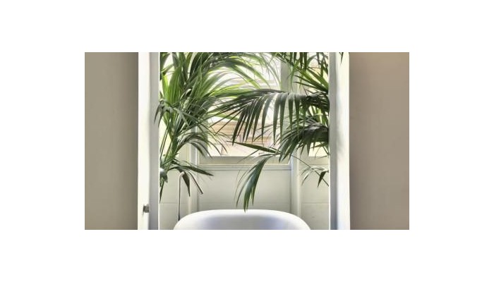 Hotel Casa Ellul poza 29