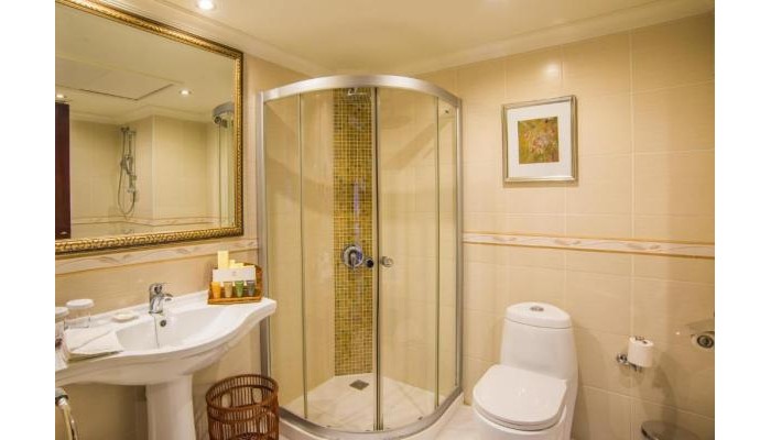 Hotel Grand Excelsior poza 14