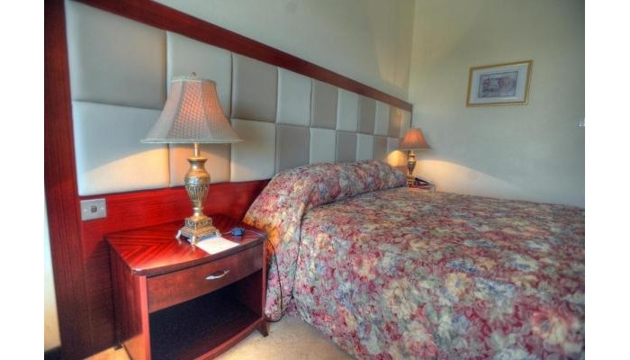 Hotel Grand Excelsior poza 6